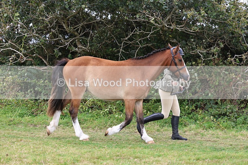 3E7A4534 - Class 16: Best Grass Kept