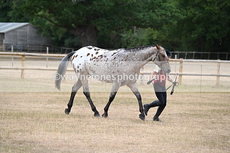 WJ6_8528 - Class 10 Coloured in Hand