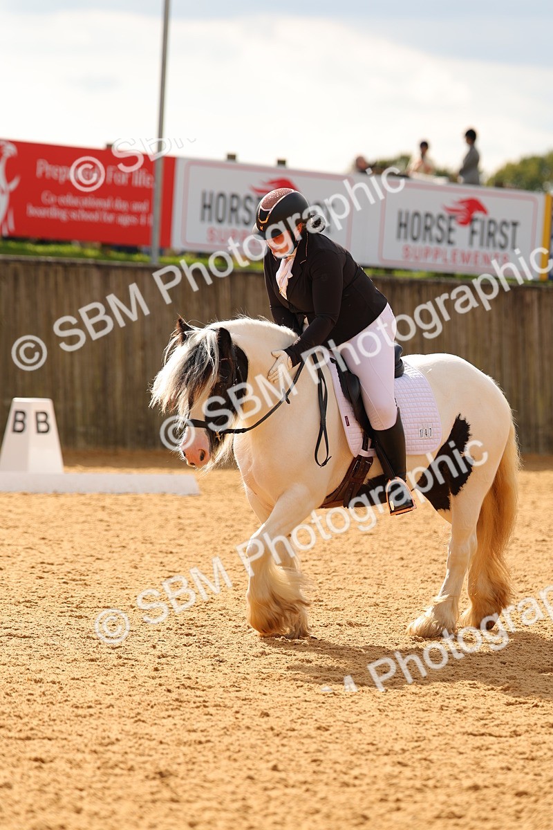 SBM_47450 - D6 - Small Tour Championship - Intro C