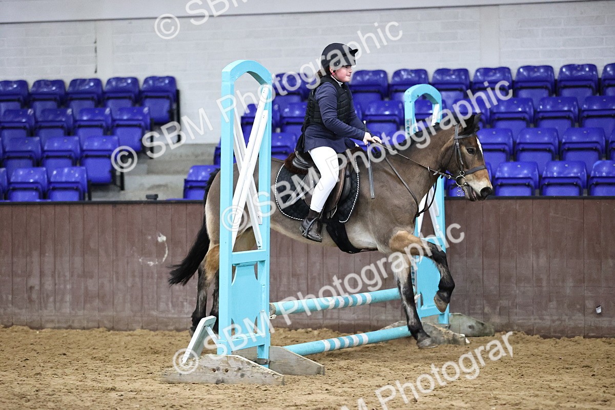 SBM_000647 - Class 2 - 50cm