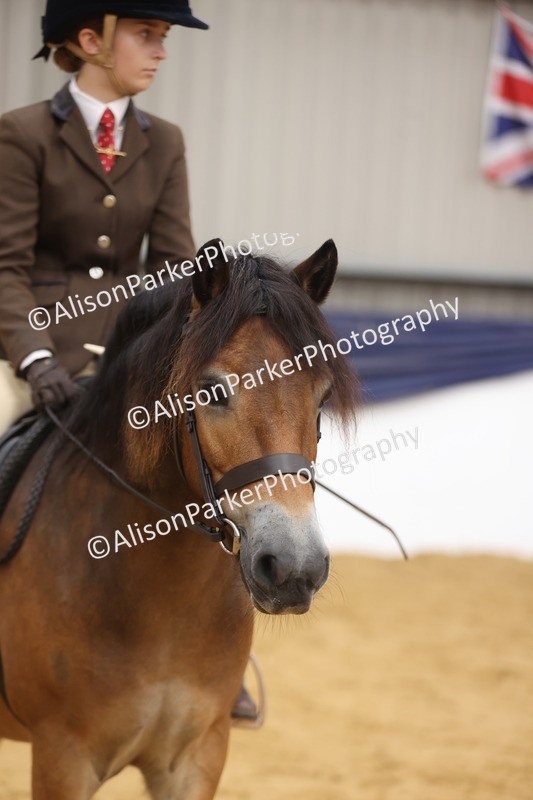 20260913-0642 - Class 126 - Novice Ridden