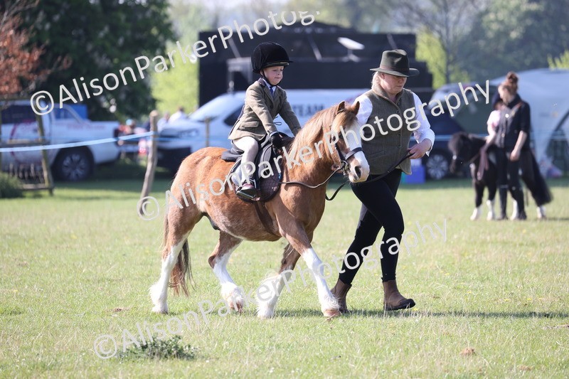 20250427-0160 - Class 30 - Tiny Tots Lead Rein