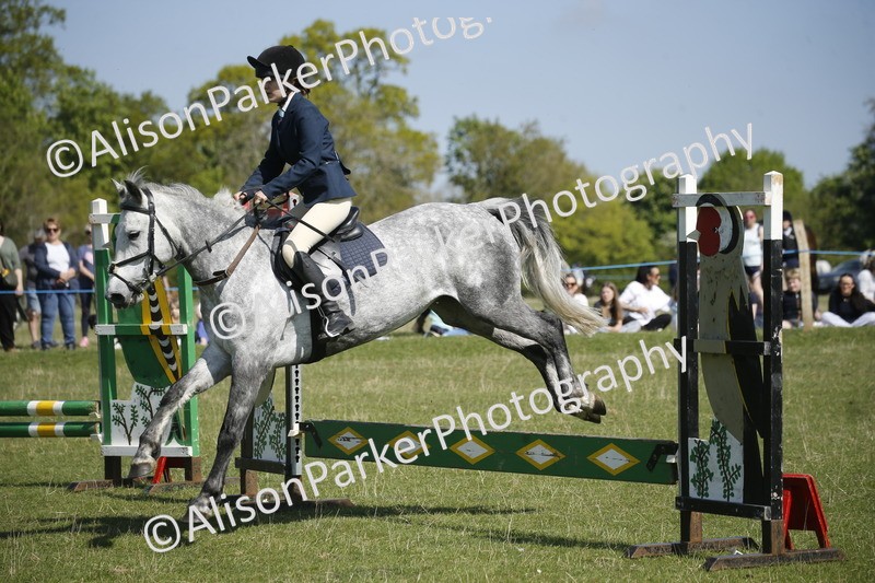 20250427-2174 - Class 13 - Novice Jumping 60cm