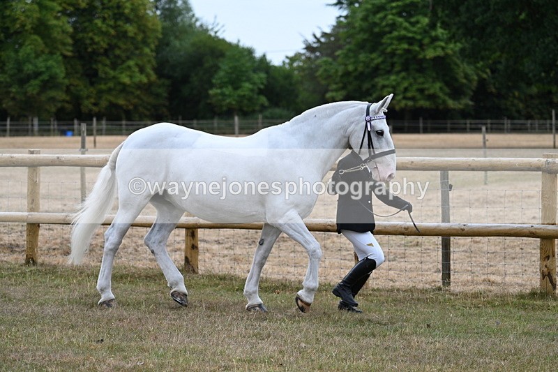 WJ7_8875 - Class 4a Prettiest Mare 14.2hh and over