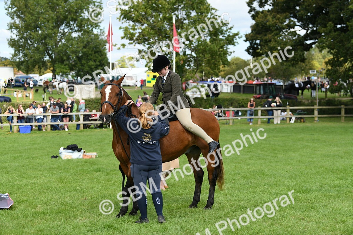 SBM_46874 - S12 - Family Horse & Pony