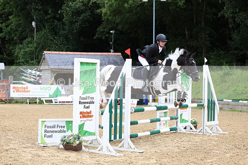 3E7A6157 - Class 4: Senior British Novice/90cm open