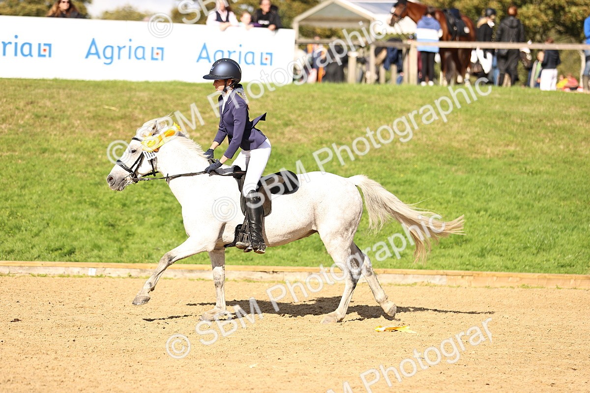 SBM_48311 - J9 - Junior Pony 70cm Championship