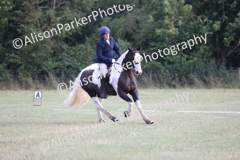 20250731-0046 - Class 2 - Prelim 3