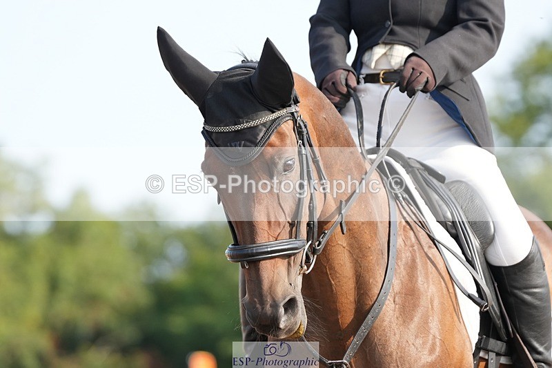 250815-091118-00043 - 005-Patricia.HaskinsGaelic.Surprise