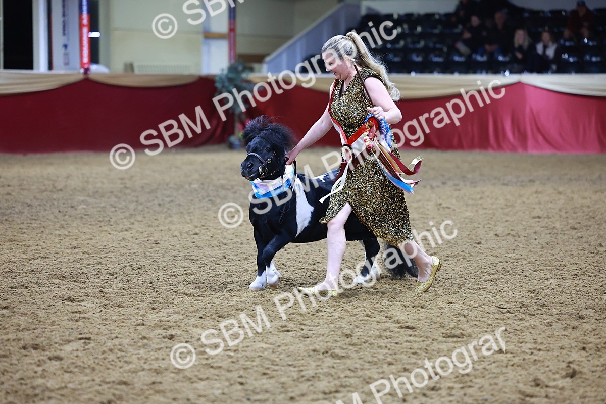 SBM_15341 - Class P - M&M Champ