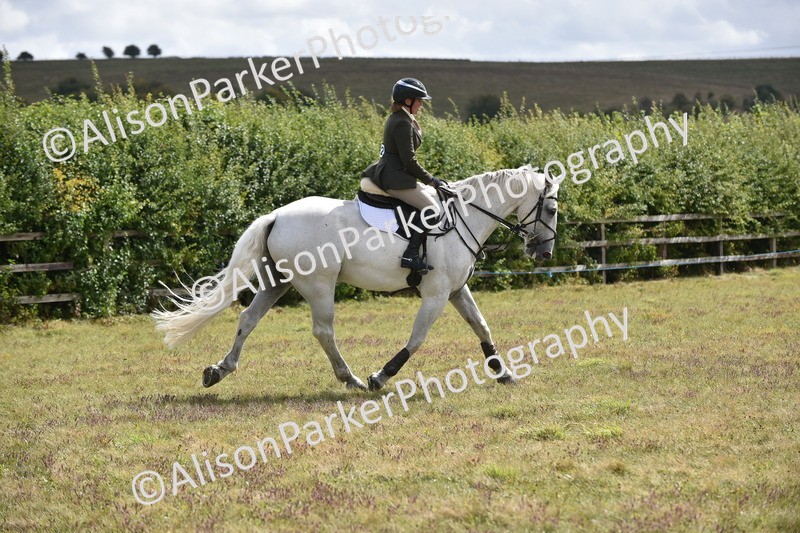 20250831-4122 - Class 13 - Working Hunter Horse or Pony