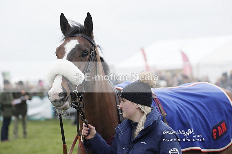 PtP 050323 234 - Blackmore & Sparkford Vale Hunt PtP - Somerset 05/03/23