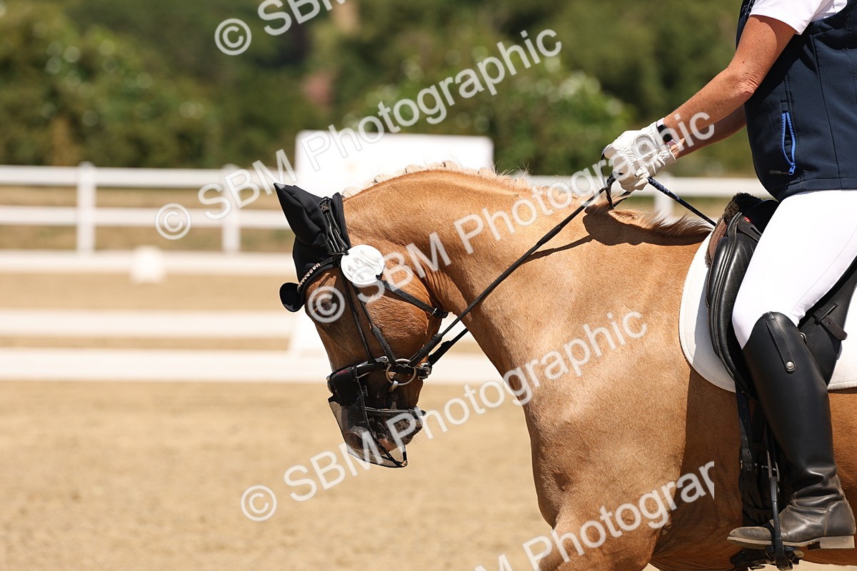 SBM_002232 - Elementary 4 Warm Up