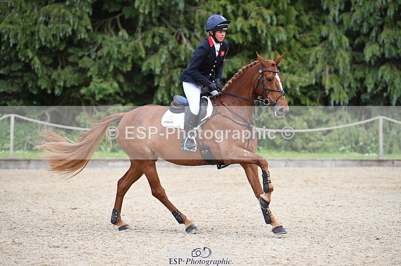 230528-151408-18932 - 112-BILLY_MAPLE-Kitty_King-SUNTrotUp+SJ