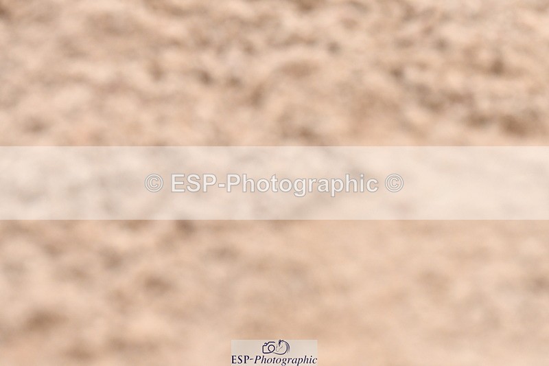 231217A-121647-00949 - Unaffiliated Classes