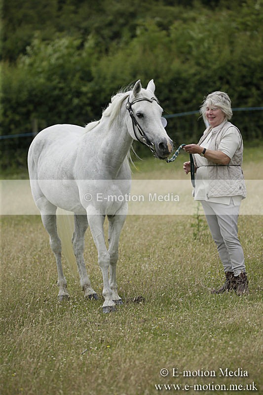 B230619-0589 - Bourne Valley Riding Club Summer Show 23/06/19