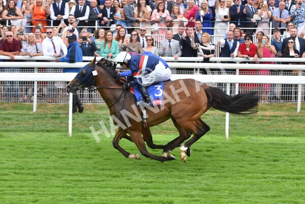 yr23072022r3-38 - Race 3 3.15pm Sky Bet York Stakes