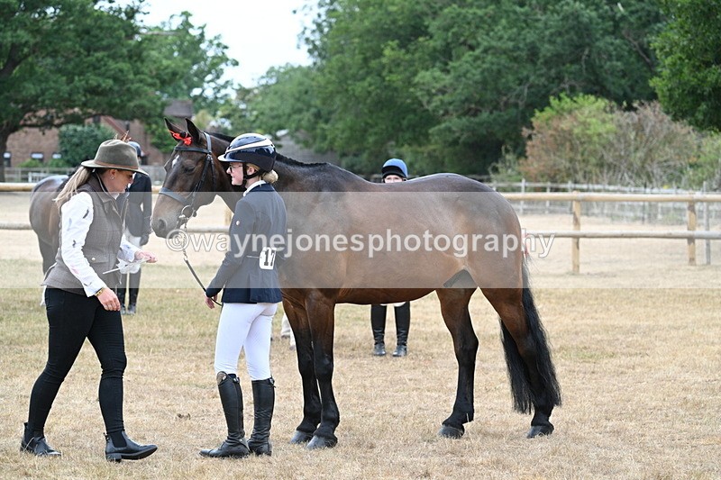 WJ7_9774 - Class 5a Most Handsome Gelding (above 14.2hh)