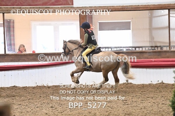 BPP_5277 - CLASS 6 60CM