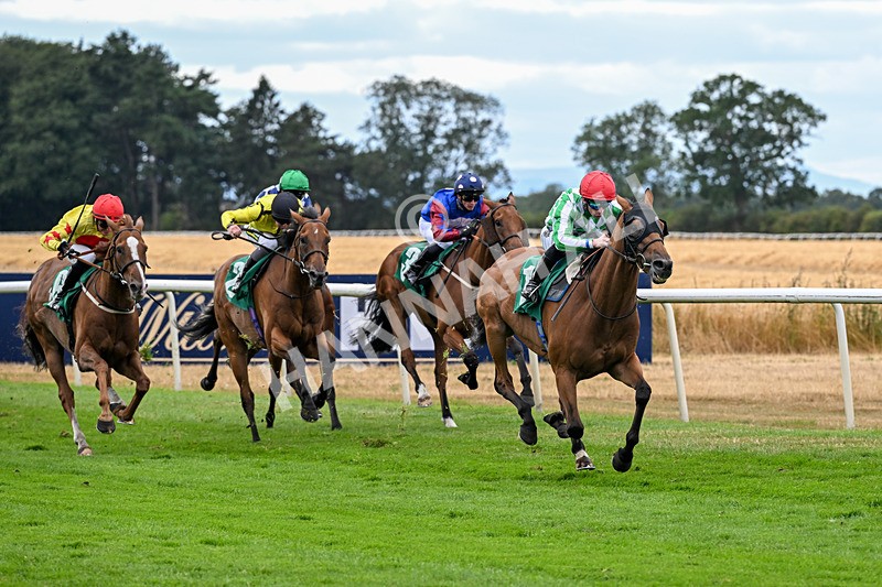 070826-Race 5-Master Vintner-1975 - Race 5 16.10pm William Hill, Market Place, Thirsk Handicap