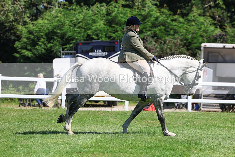 3E7A8352 - Class 4: Novice working Hunter