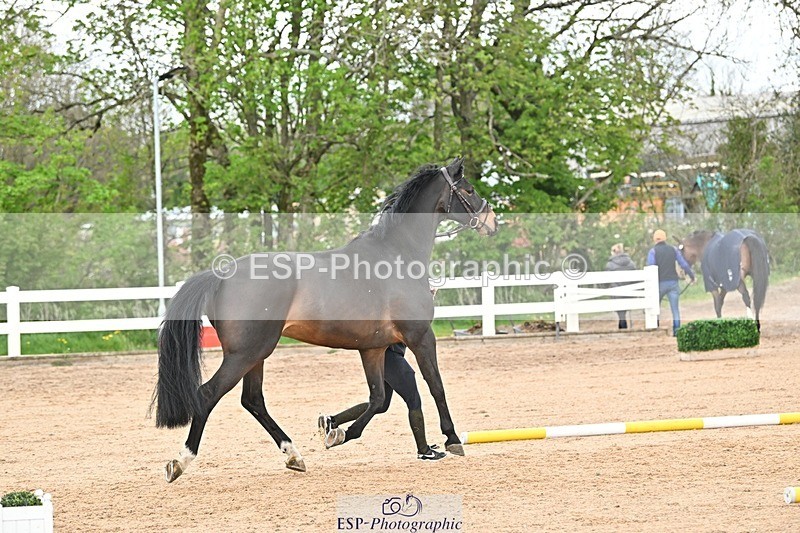 250423-152444-01616 - 3pm to 4pm