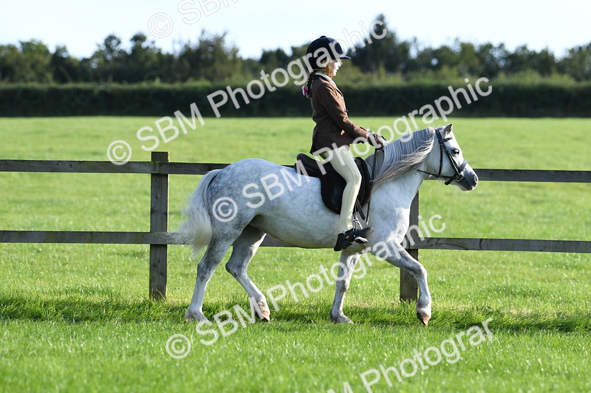 SBM_54002 - S23 - 1st Ridden Mountain & Moorland Pony