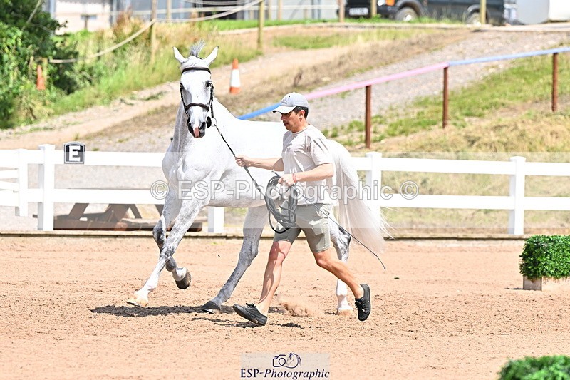 240718A-105317-01793 - Trot Up 1pm to 2pm