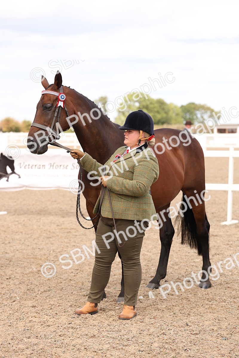 SBM_15376 - Class 210- IH Show Horse
