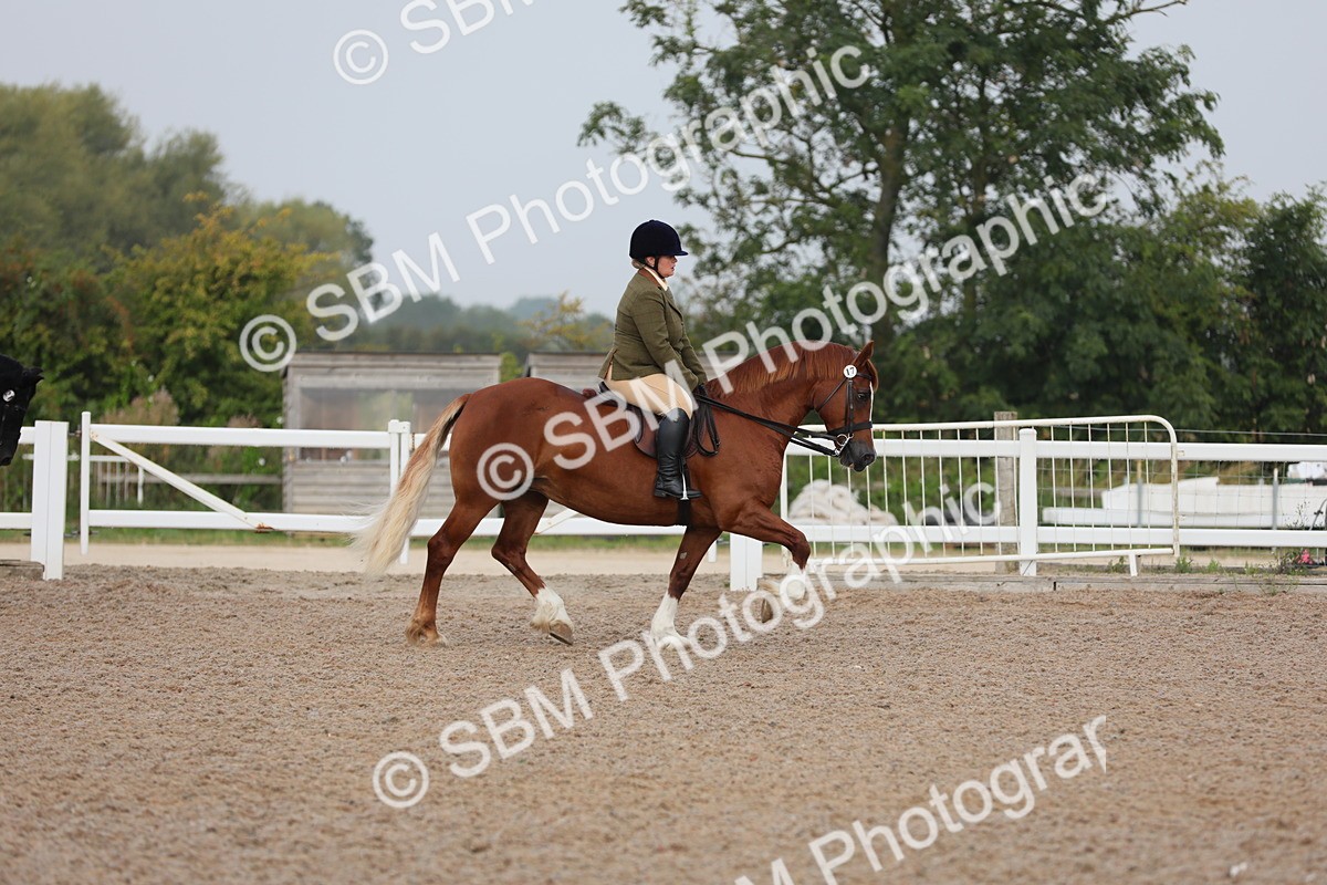 SBM_10000 - Class 302 Ridden M&M -Large Breeds