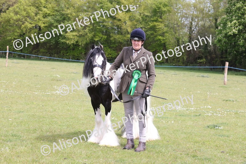 20260426-3385 - Class 27 - Coloured Horses and Ponies