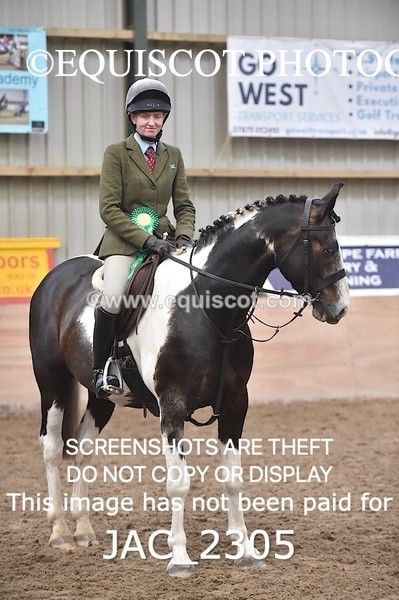 JAC_2305 - CLASS 2 Novice Working Hunter