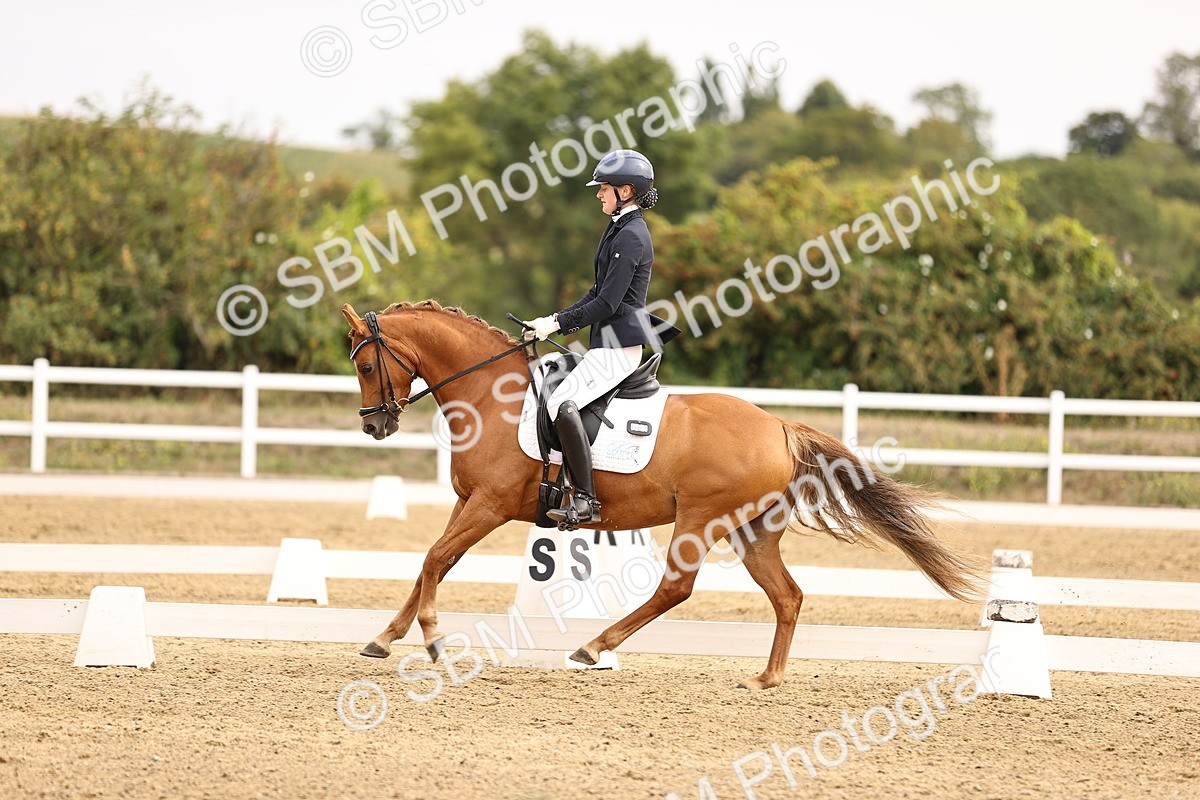 SBM_011696 - Class 1 - Medium 5