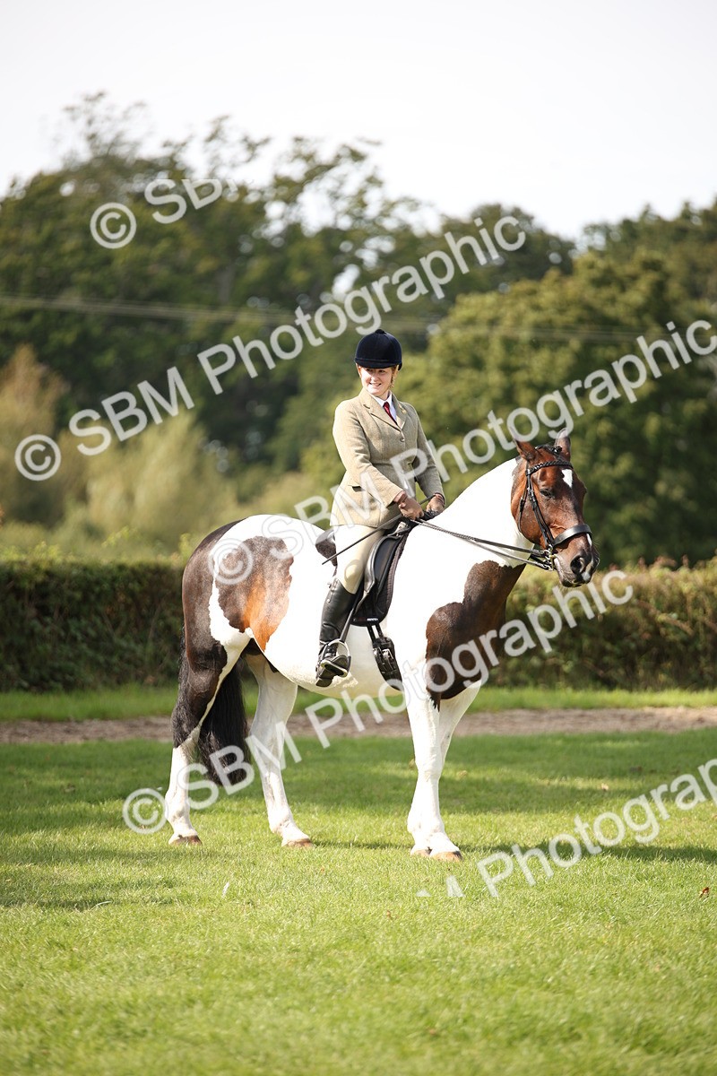 SBM_70133 - S65 - Piebald & Skewbald Horse Ridden