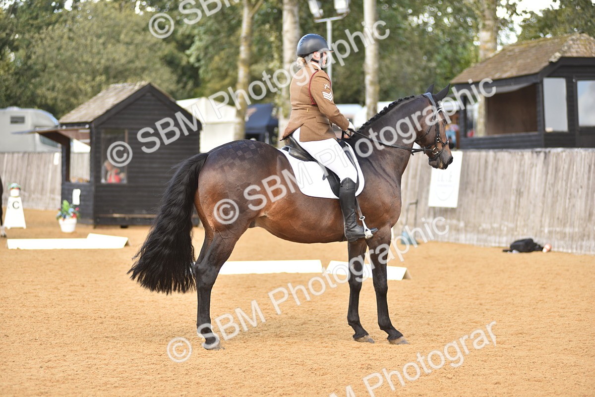 SBM_29607 - D16 -Small Tour Championship Novice 2