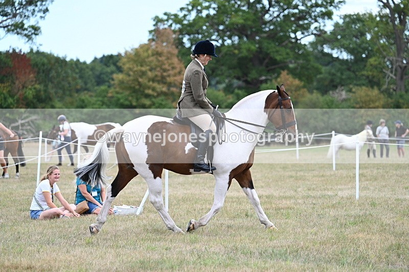 WJ7_4914 - Class 12 Ridden Cob