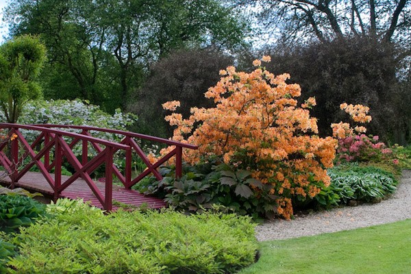  - Dabton Gardens
