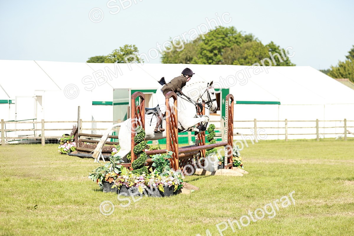 SBM_19171 - Class 115-116 - LIHS BSHA Rising Star Working Hunter & Show Horse
