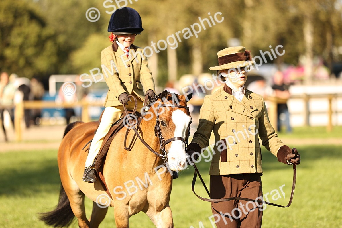 SBM_29375 - S7 - Novice & Newcomers Ridden Pony