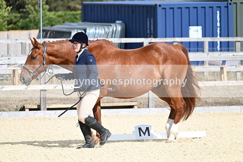 WJ7_2013 - In Hand