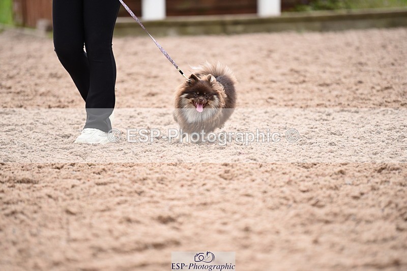 240518A-112020-00748 - Cls 1 Cutest Puppy