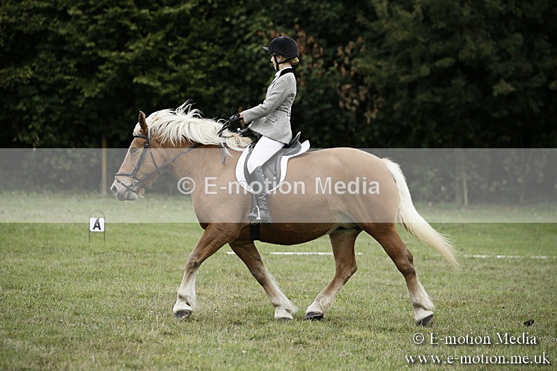 BVR080918 86 - BVRC Novice Dressage & CR 08/09/18