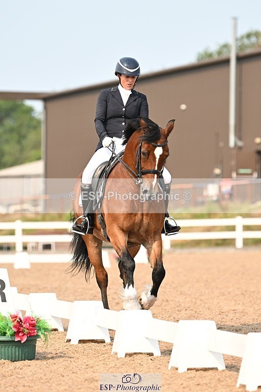 250816-155220-06285 - 030-Jane.HendyCefnbangor.Rob.Roy