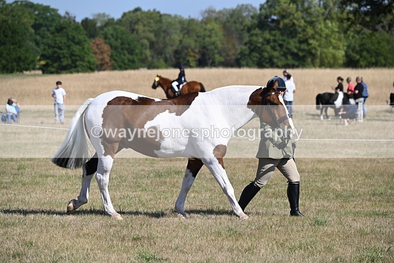 WJ6_4171 - Class 16 Condition & Turn Out