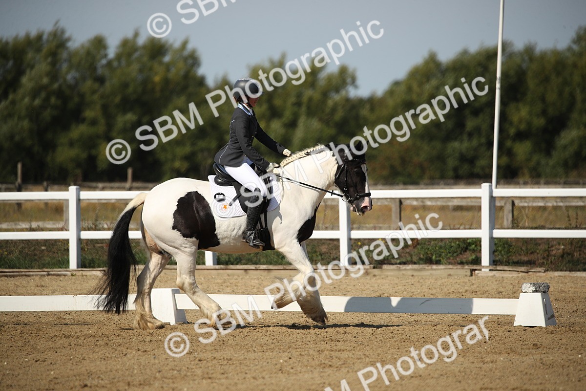 SBM_004166 - Class 11 - Novice 5 - 10.24-11.20