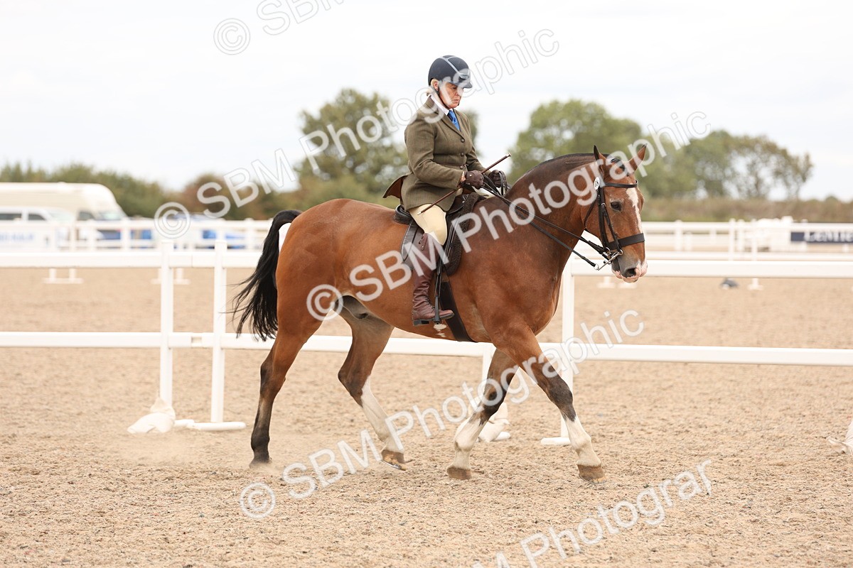 SBM_19528 - Class 215 - Ridden Show cob