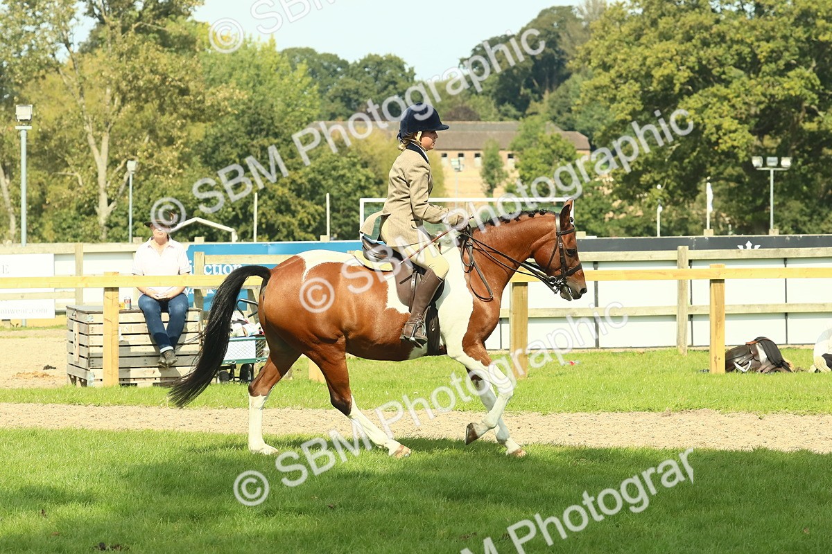 SBM_67493 - S56 - Coloured Pony Ridden