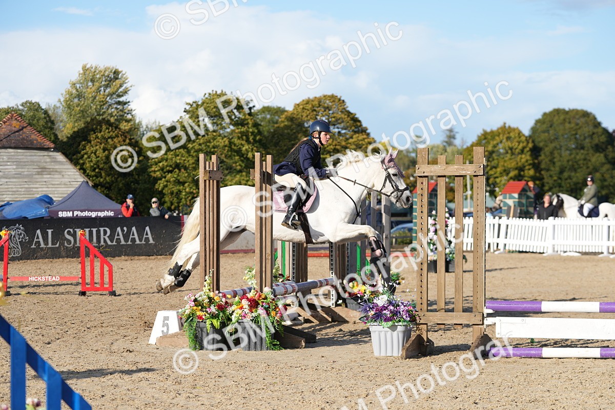SBM_28952 - J43 - Horse & Hound Open 50cm