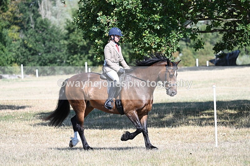 WJ7_3885 - Class 9 Mountain & Moorland Ridden