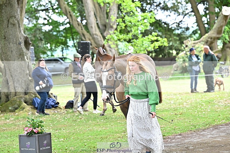 250521A-144326-00192 - A-057-Tabitha.Moore-BILLY.HOODOOS